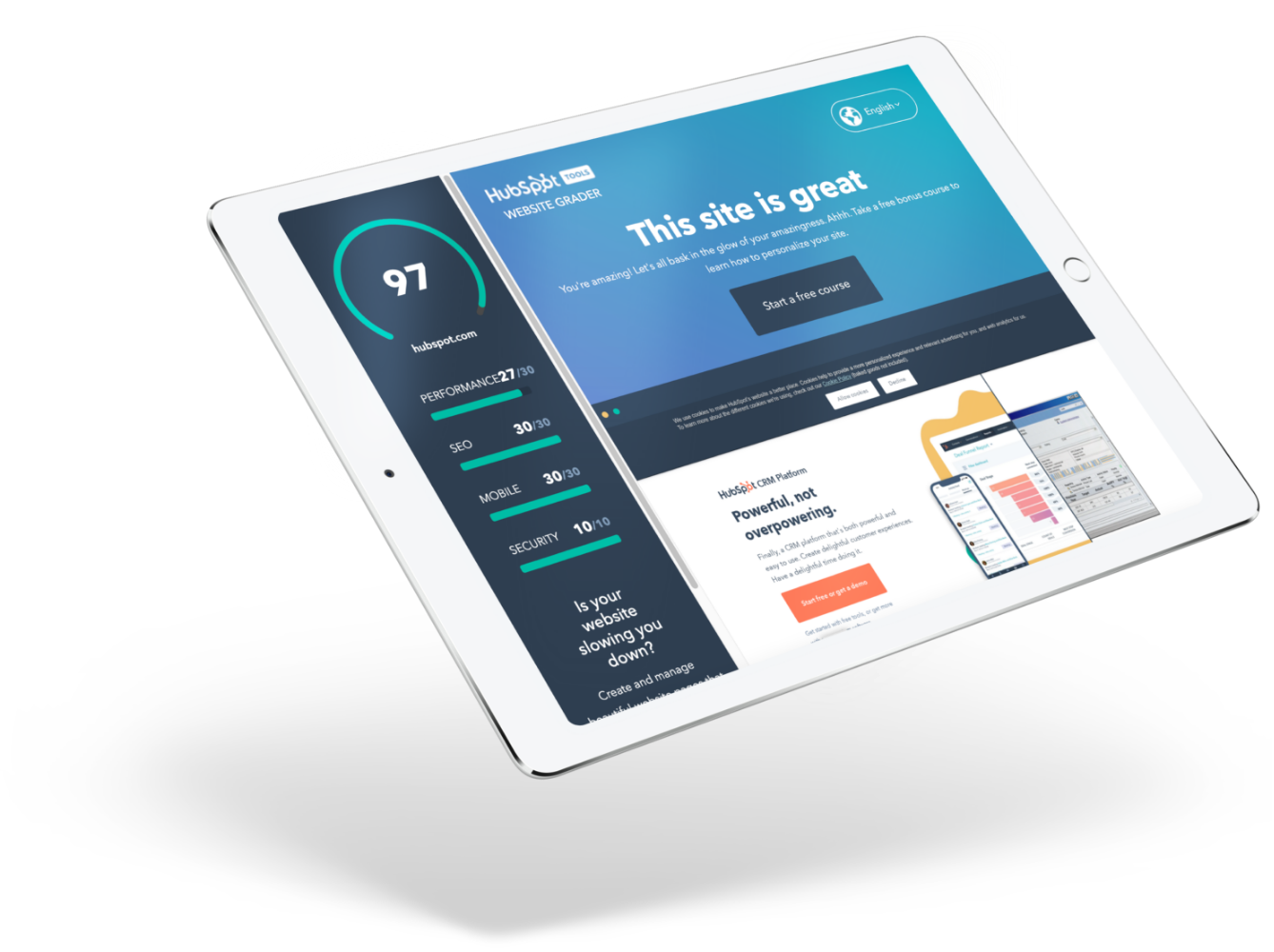 Qualizent Website Grader on an iPad